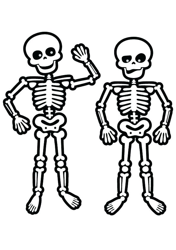 595x842 Human Skeleton Coloring Pages Human Skeleton Coloring Pages Human