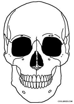 236x334 Skeleton Anatomy Coloring Pages Anatomy Skeleton