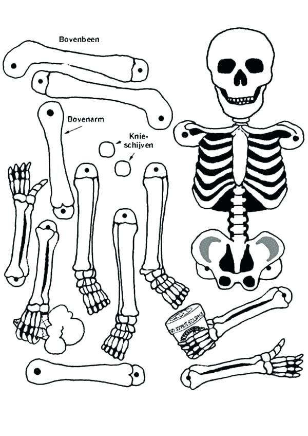 600x848 Human Skeleton Coloring Pages Skeletons Coloring Pages Skeleton