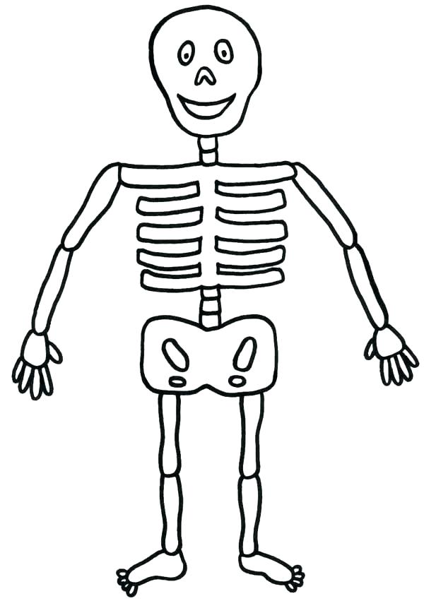 600x851 Bone Coloring Page Human Bones Coloring Sheets Bones Coloring