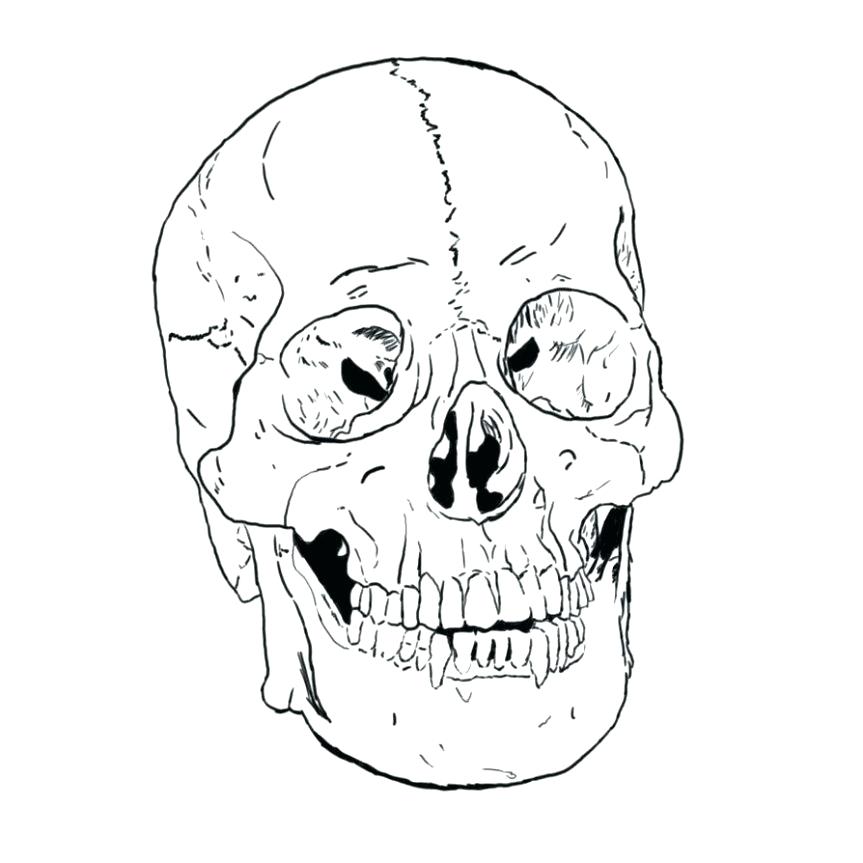 863x863 Skull Coloring Pages Anatomy Skull Coloring Pages Anatomy Coolest