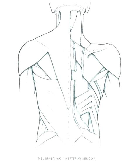 475x550 Human Coloring Pages Human Coloring Pages Foot Coloring Pages