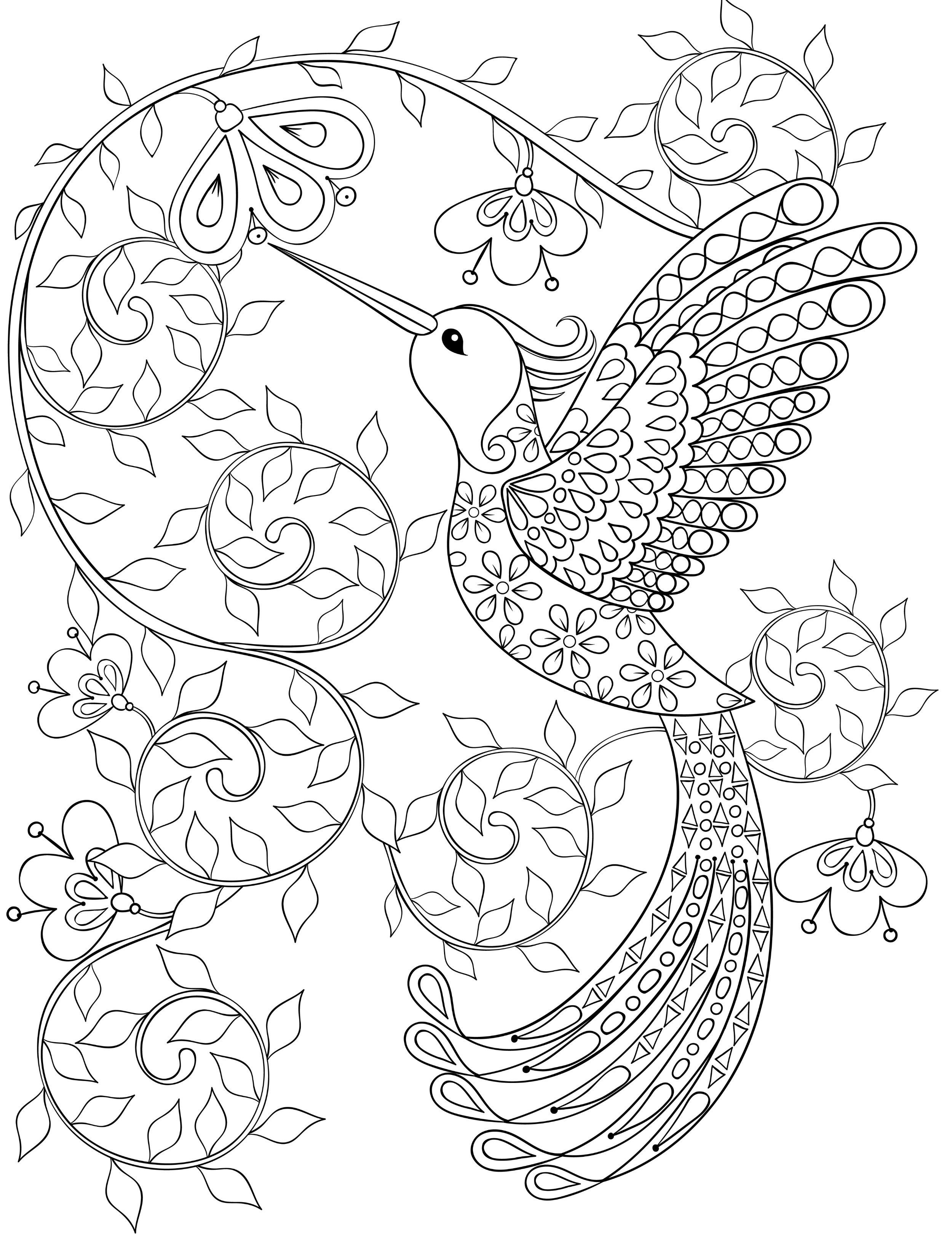 2500x3300 Hummingbird Coloring Pages For Adults, Free Dwonloadable