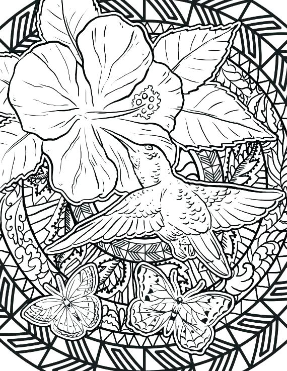570x738 Realistic Hummingbird Coloring Pages Of Hummingbirds Woodpecker