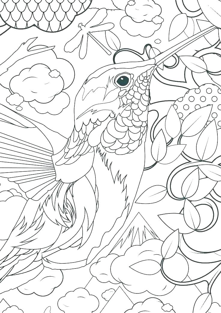 736x1041 Hummingbird Coloring Pages