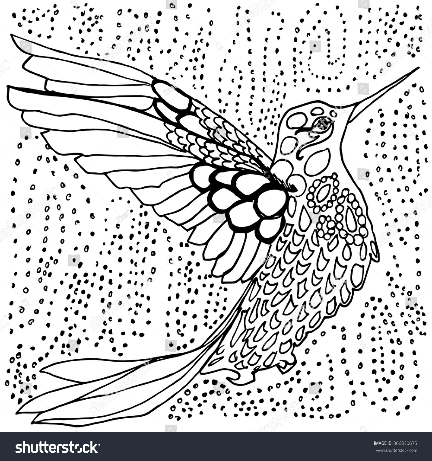 1500x1600 Hummingbird Coloring Pages For Adults Collection