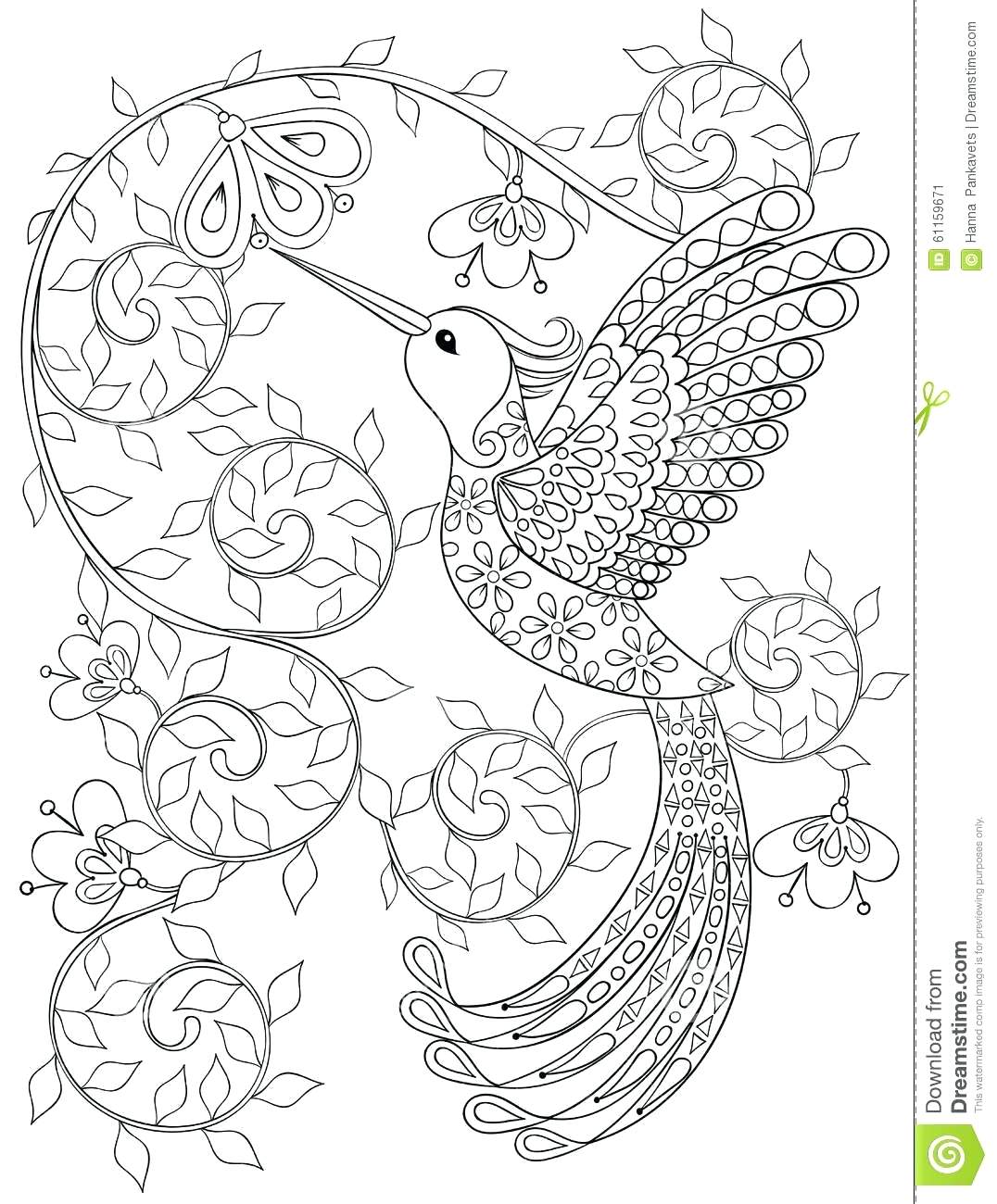 1076x1300 Coloring Pages Hummingbird Coloring Pages Page Of And Hibiscus