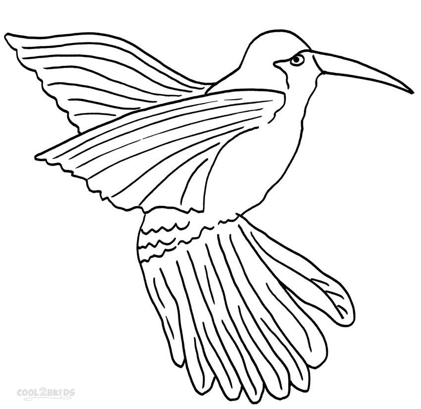 850x825 Printable Hummingbird Coloring Pages For Kids