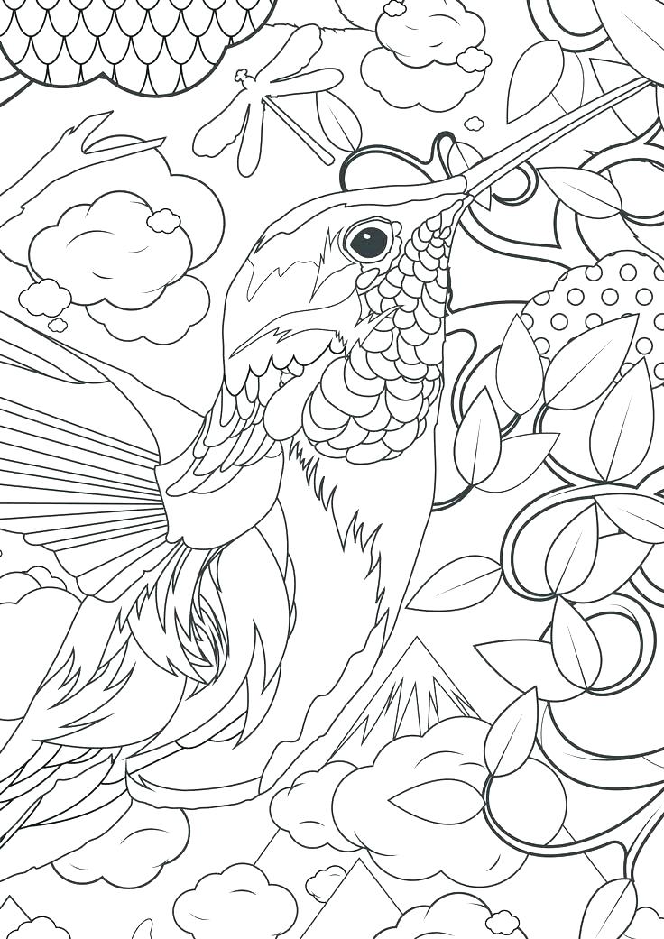 736x1041 Ruby Coloring Pages Hummingbird Coloring Pages Ruby Hummingbird