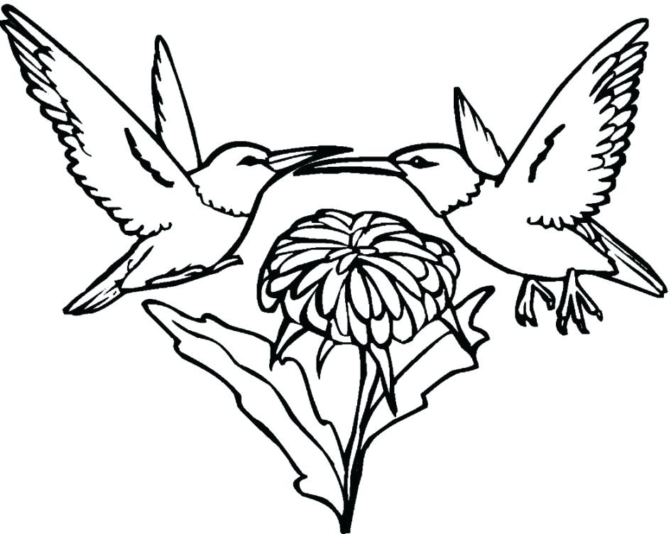 945x752 Hummingbird Coloring Page