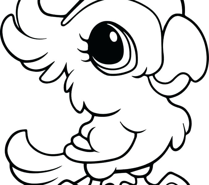 678x600 Fun Coloring Pages Coloring Page Animals Color Pages Animals
