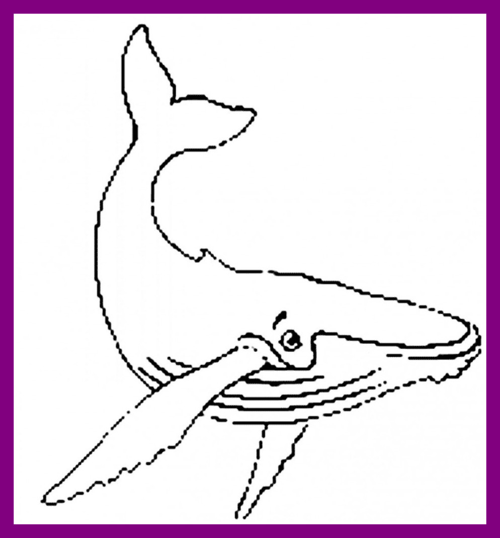 Humpback Whale Coloring Pages at GetDrawings | Free download