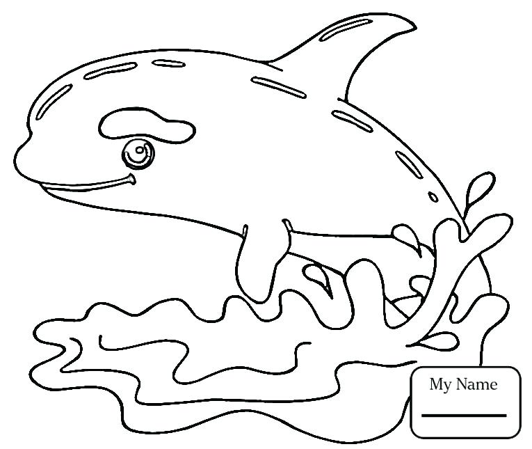 765x645 Humpback Whale Coloring Page Coloring Humpback Whale Colouring