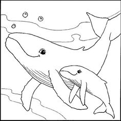236x236 Humpback Whale Coloring Pages Eating Coloring Book Illustration