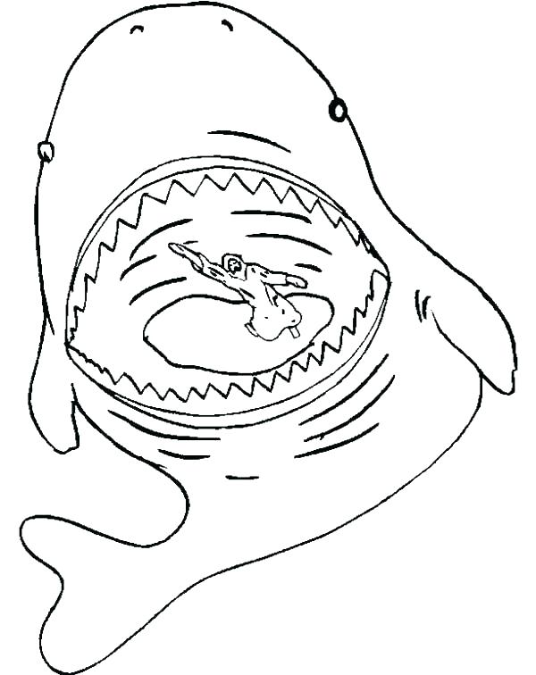 600x756 Whale Coloring Page Humpback Whale Coloring Page Blue Whale