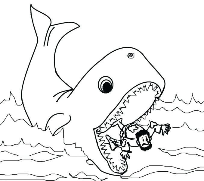 678x600 Blue Whale Coloring Page Humpback Whale Coloring Page
