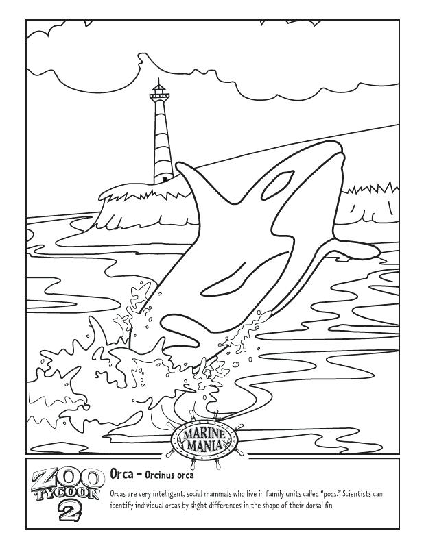 618x800 Fine Blue Whale Coloring Pages According Efficient Article