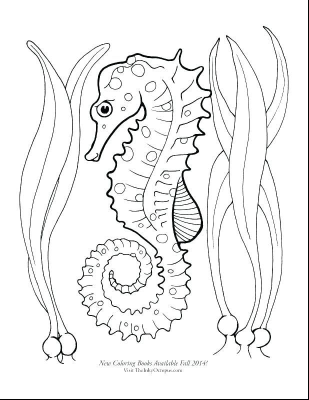 618x800 Hungry Caterpillar Coloring Pages The Very Hungry Caterpillar