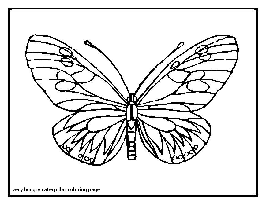 869x671 The Very Hungry Caterpillar Butterfly Coloring Page Elegant Get