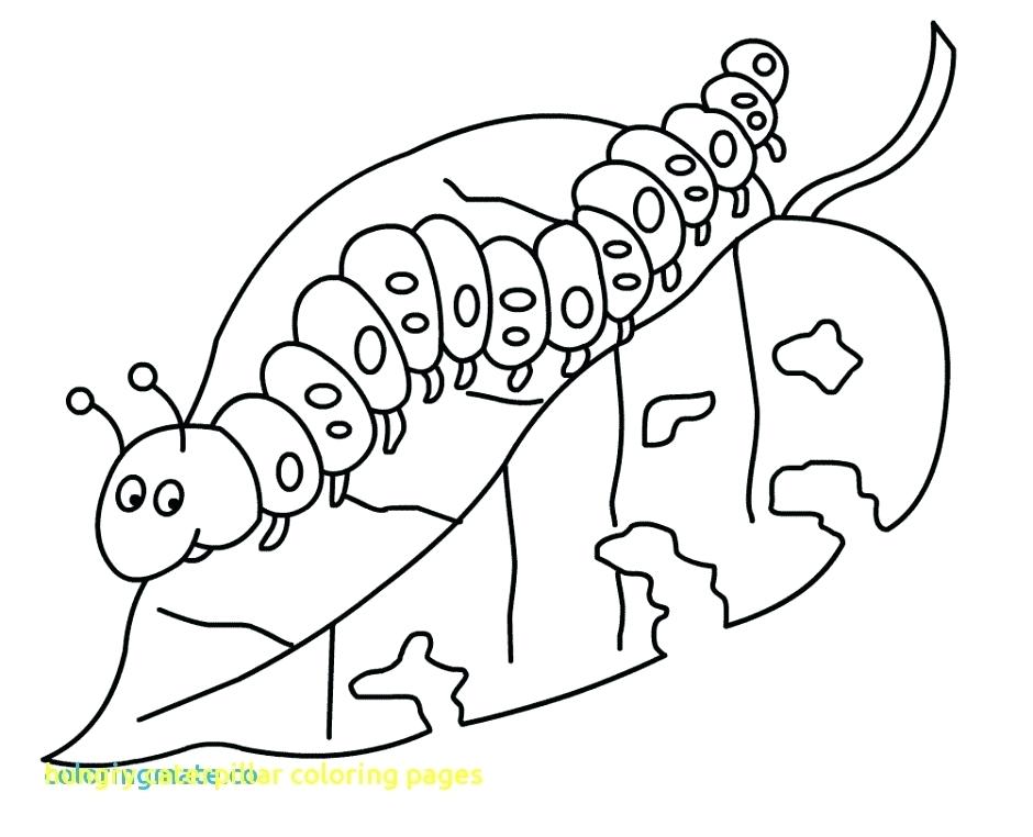 940x762 Caterpillar Coloring Pages Hungry Caterpillar Coloring Pages
