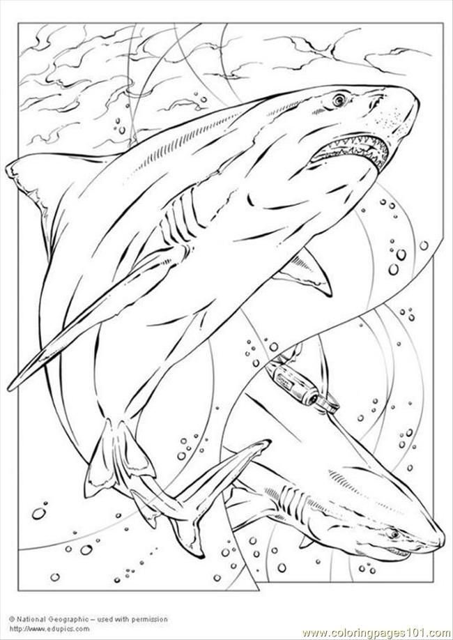650x918 Sharknado Coloring Pages