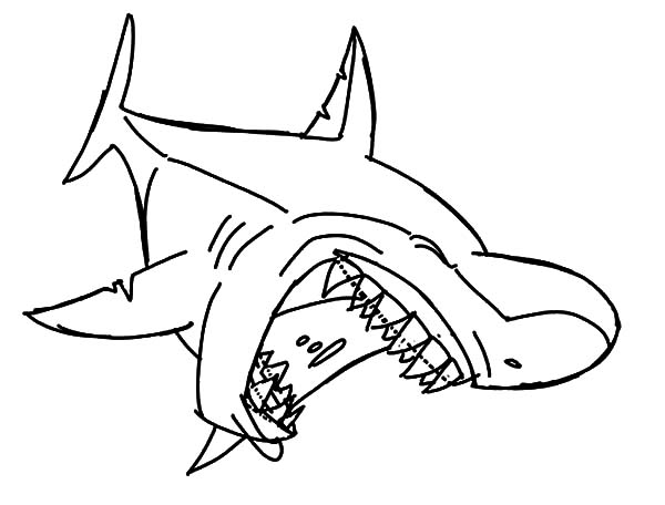 600x456 Bull Shark Jaws Coloring Pages Best Place To Color