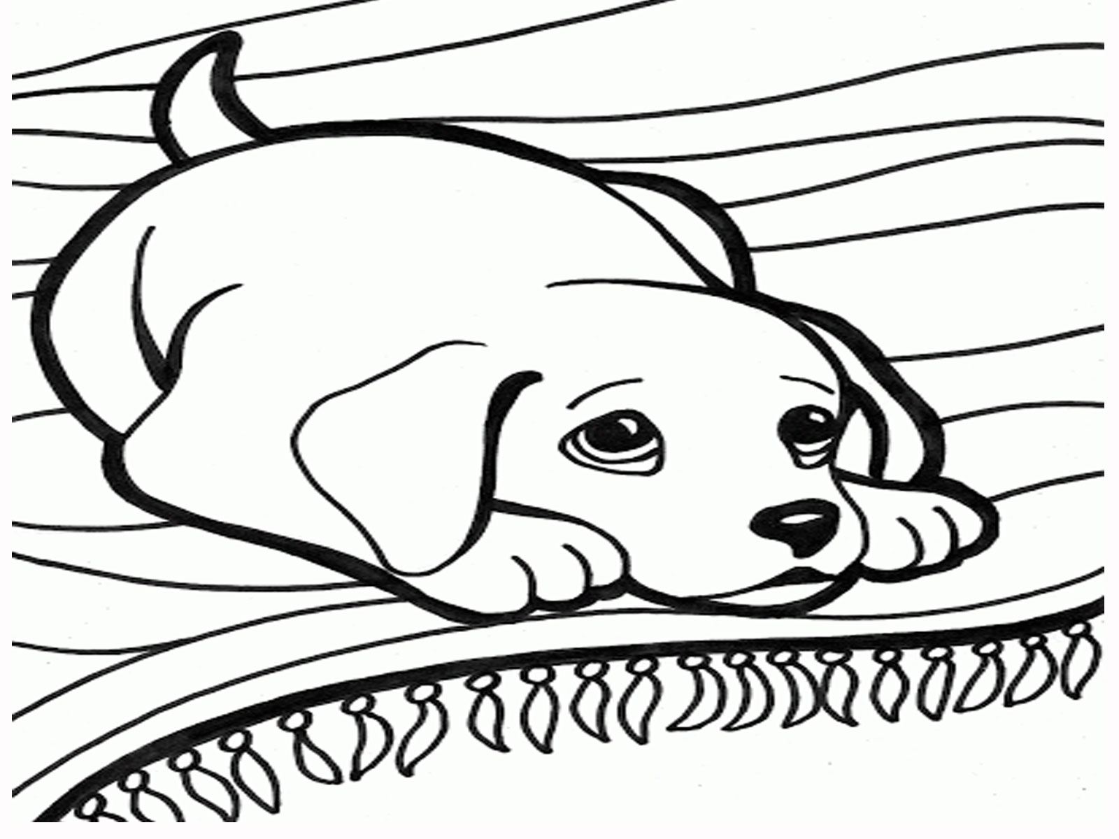 1600x1200 Opportunities Picture Of A Dog To Color Coloring