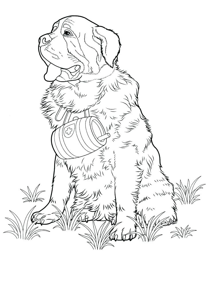 736x1010 Poodle Coloring Page Poodle Coloring Page Poodle Coloring Page