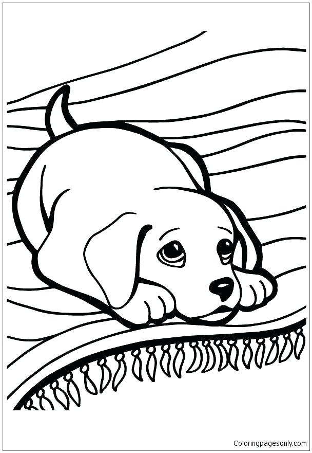 608x881 Husky Coloring Pages Husky Puppies Coloring Pages Husky Coloring