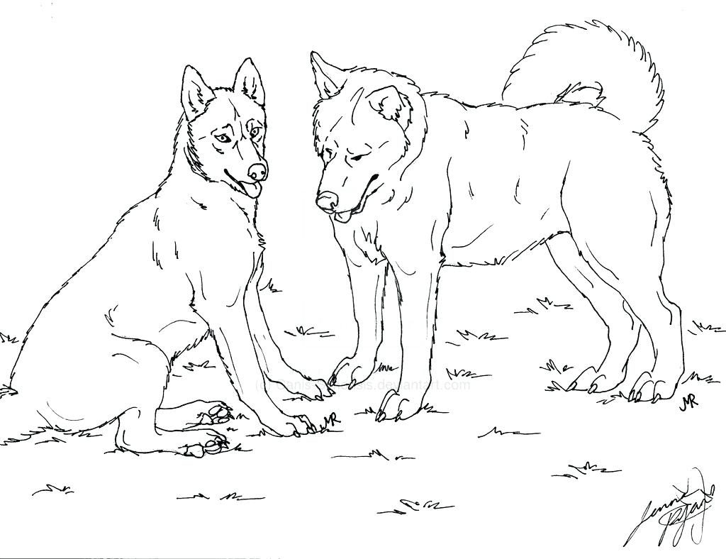 1024x788 Coloring Pages Husky Coloring Pages Realistic And Husky Coloring