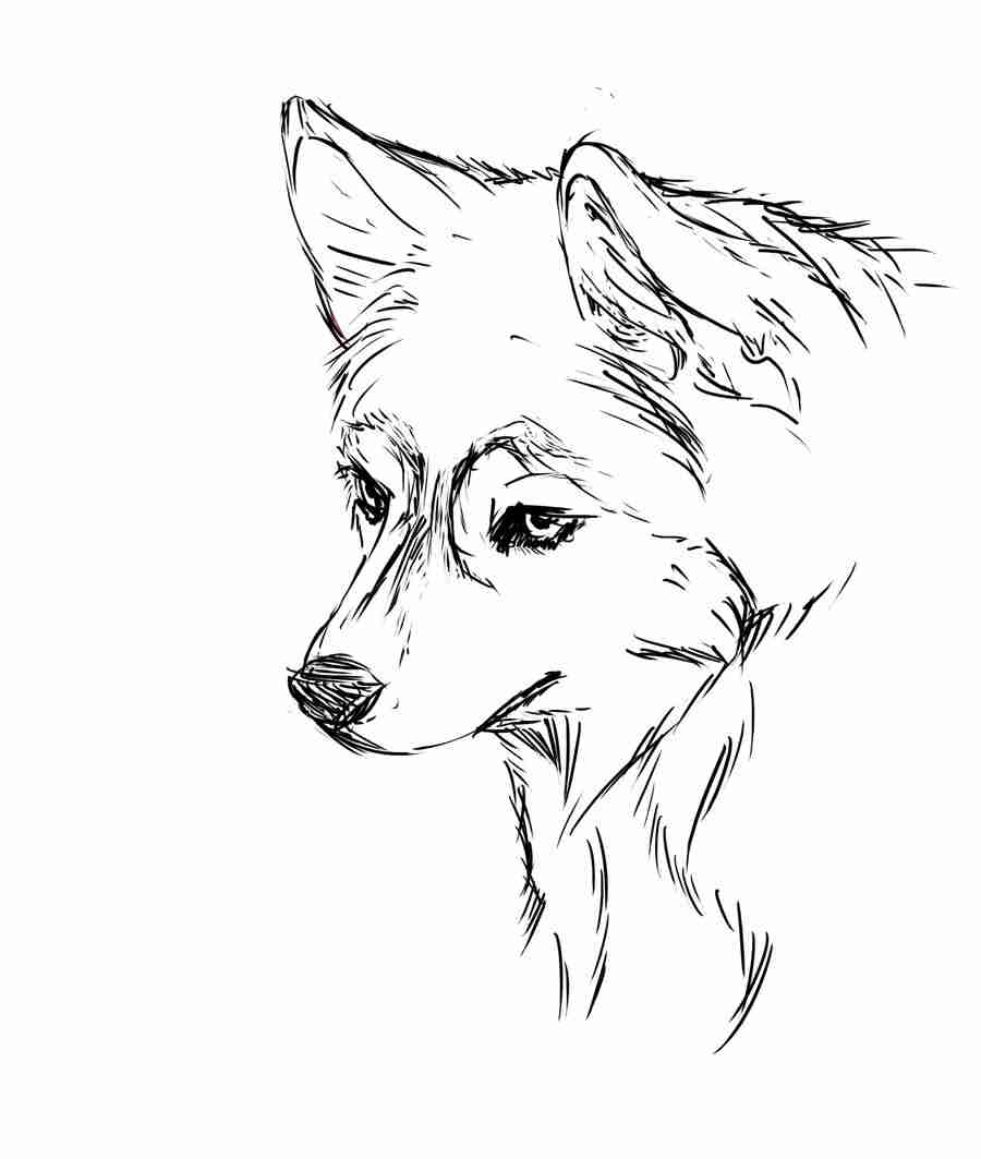 900x1063 Husky Coloring Page Free Printable Pages And Olegratiy
