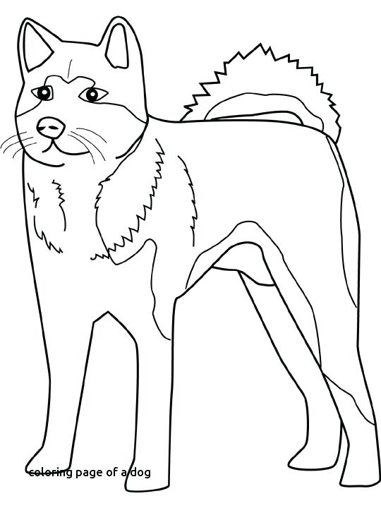 540x720 Husky Coloring Pages