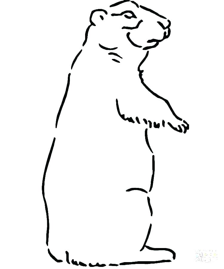 750x899 Husky Coloring Pages