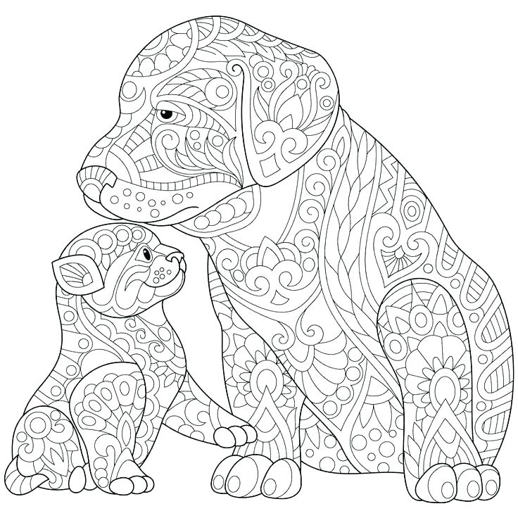 736x736 Husky Dog Coloring Pages
