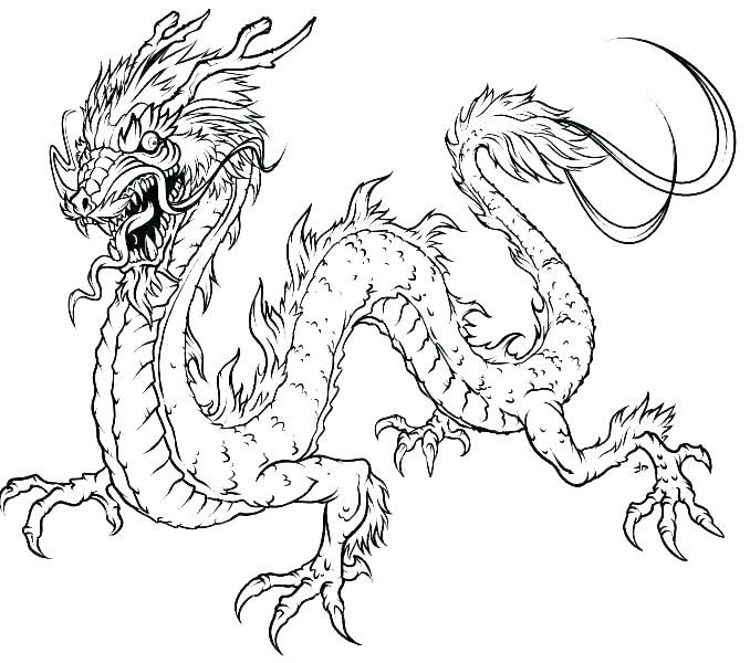 678x600 Fascinating Komodo Dragon Coloring Page Dragon Coloring Page Free