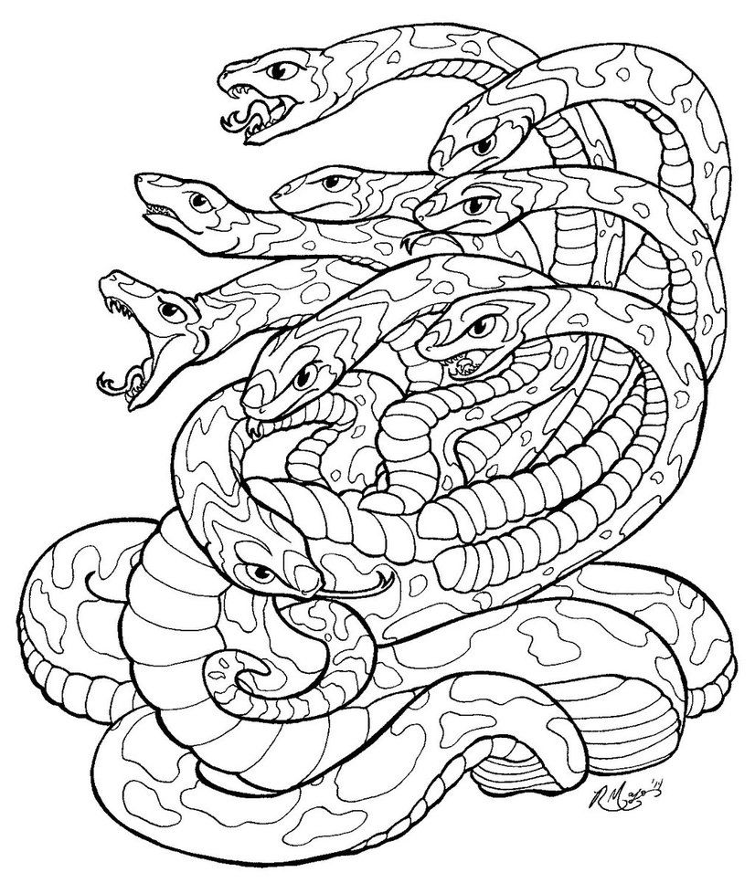826x967 Hydra Lineart