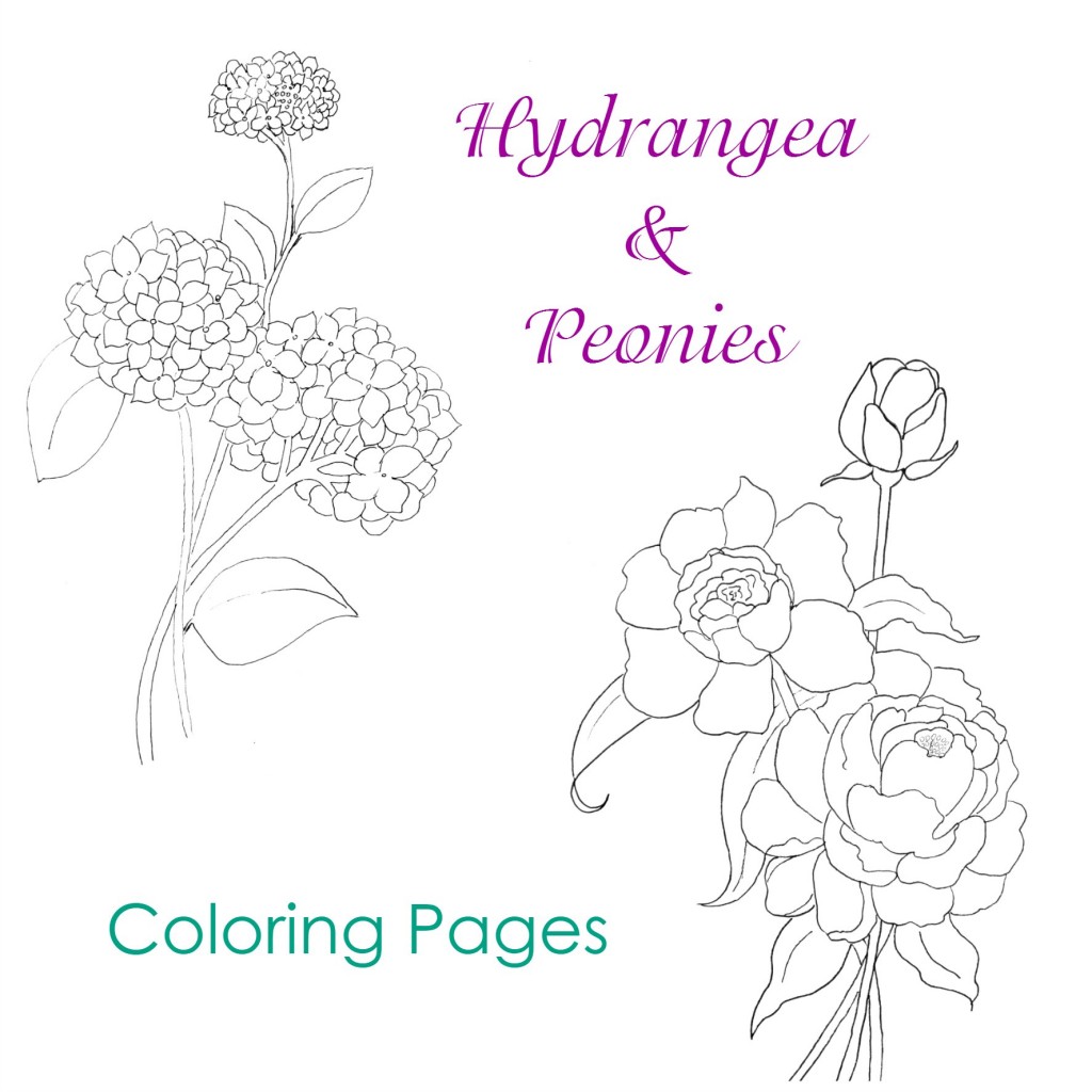 1024x1024 Hydrangea And Peonies Coloring Pages