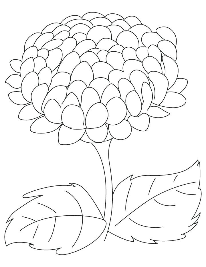 720x936 Chrysanthemum Kevin Henkes Coloring Pages Limited Chrysanthemum