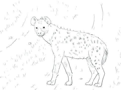 480x360 Hyena Coloring Page Hyena Coloring Page Click To See Printable