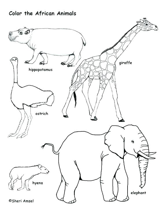 567x734 Hyena Coloring Page Scar Coloring Page And Coloring Page Coloring