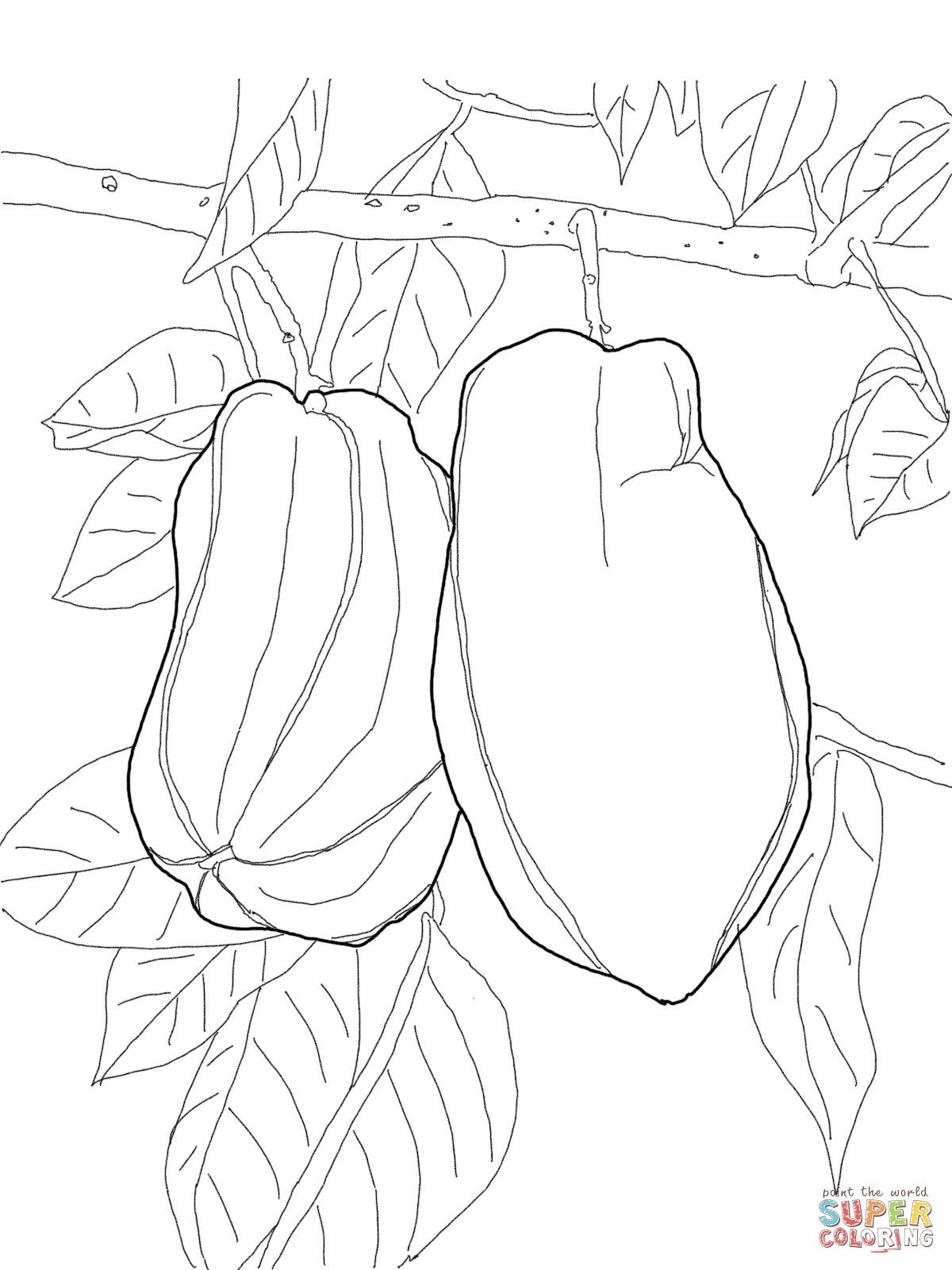 1200x1600 Star Fruit On Tree Super Coloring New Coloring Sheets