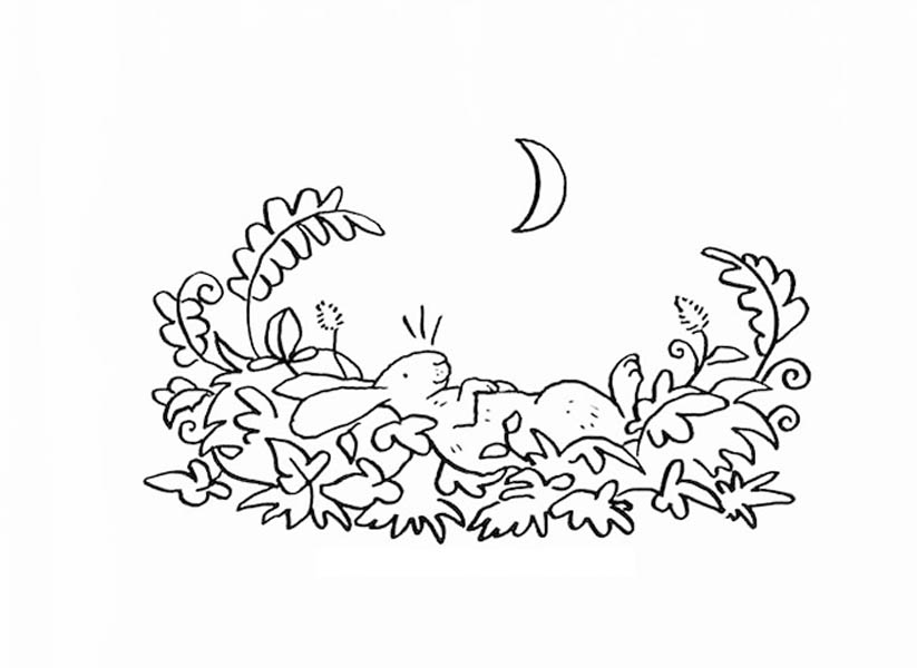 823x600 Guess How Much I Love You Coloring Pages