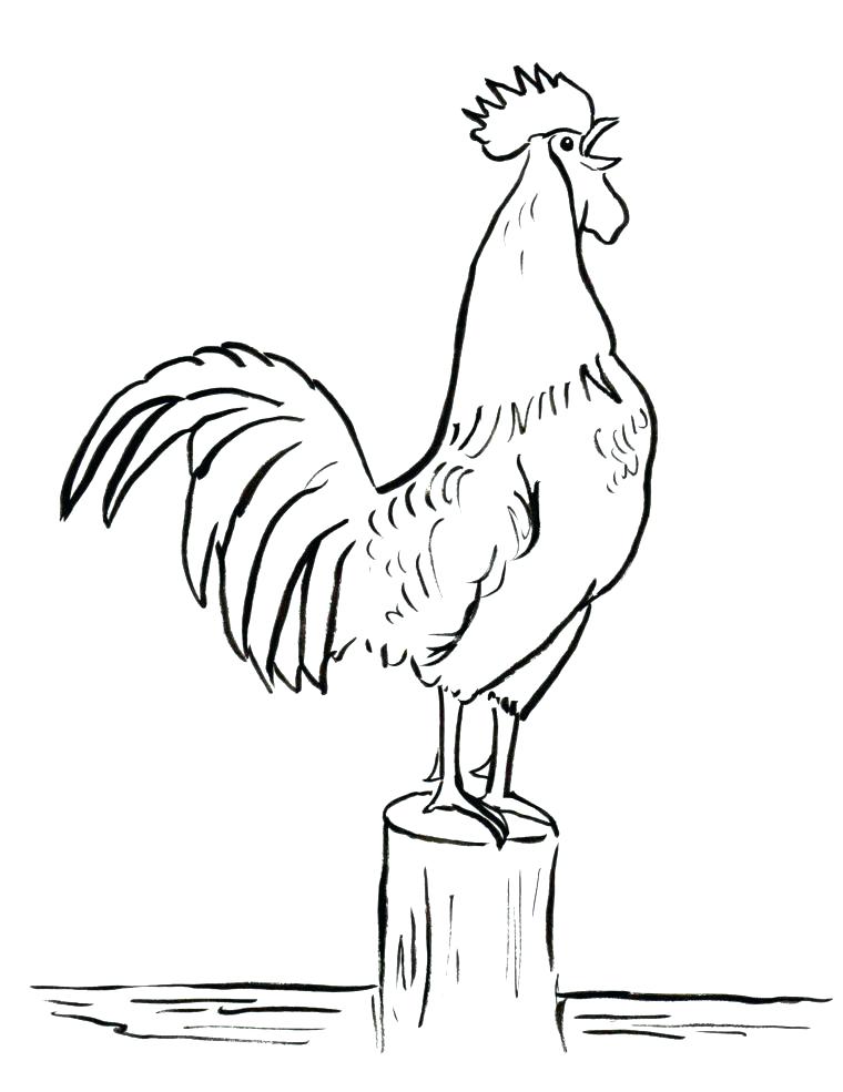 760x985 Rooster Coloring Page