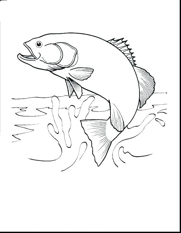 Ice Fishing Coloring Pages at GetDrawings | Free download