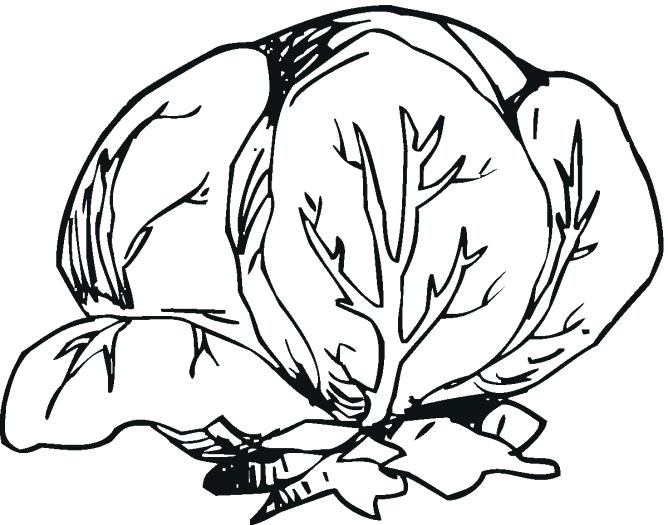 668x525 Iceberg Black And White Free Download Best Iceberg Lettuce Image