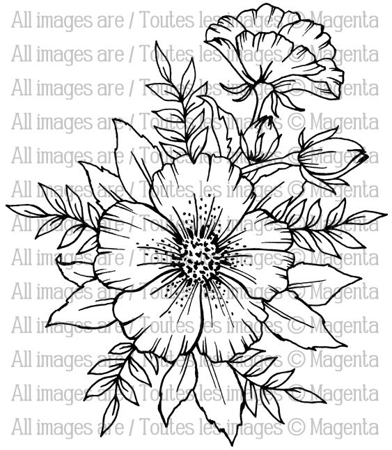 563x646 Iceland Poppy Tattoos Iceland