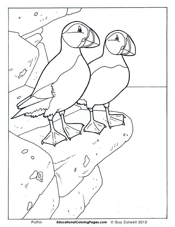 612x792 Birds Book One Educational Fun Kids Coloring Pages And Preschool