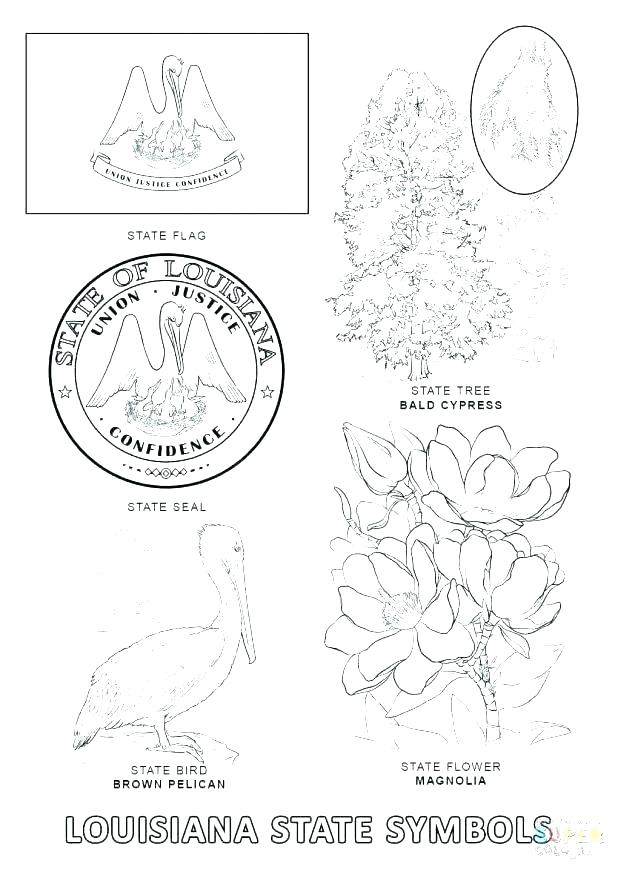 Idaho Coloring Pages at GetDrawings | Free download