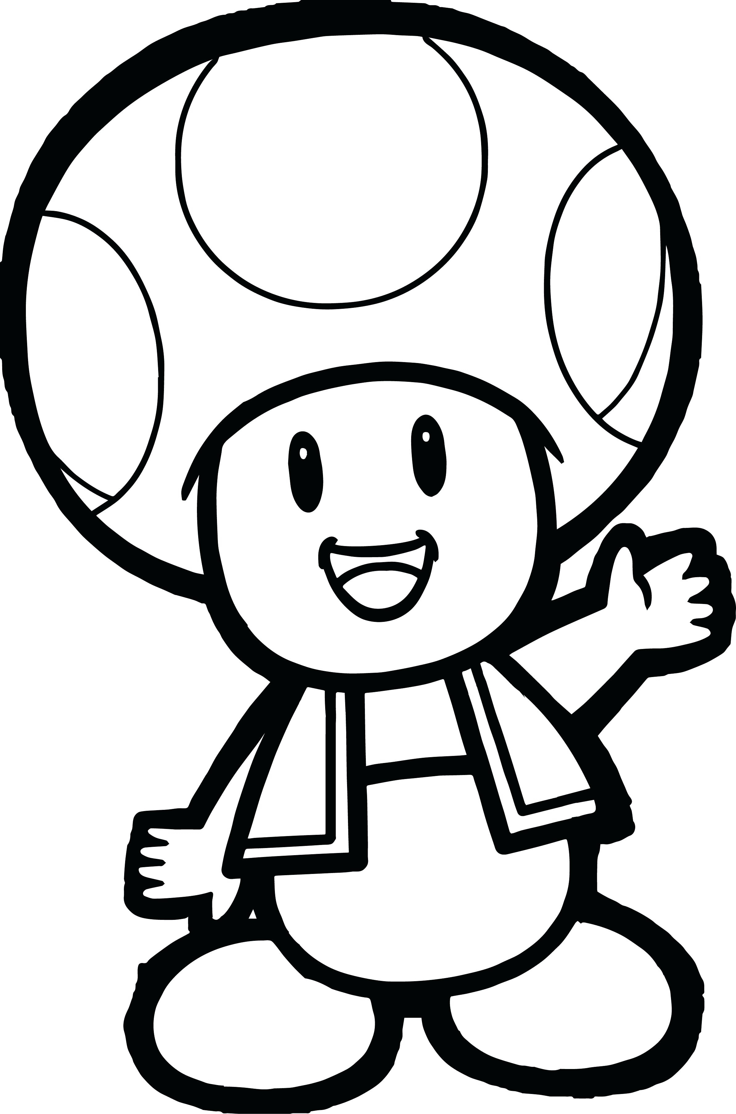 Iggy Koopa Coloring Pages at GetDrawings | Free download