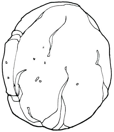 366x423 Rock Coloring Pages The Rock Coloring Pages Preschool In Amusing